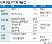 [가을여행] 팔공산 단풍 28일께 절정… 서문야(夜)시장 10미(味) 먹방 좋아요