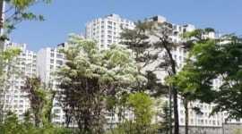[시장보고서] 스타필드고양·이케아 가까운 몰세권 ‘원흥도래울마을LH2,4,6단지