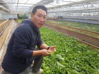 [한경·네이버 FARM] 서울 농부… 강동구 23년차 채소농부 최재일 대표의 로컬푸드 스토리