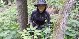홀로 귀농해 38만평 국유림을 산양삼 밭으로 꾸민 산 여인