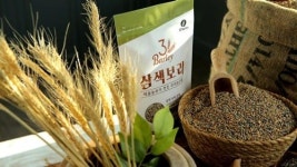 맛과 영양은 높아지고 밥짓기는 쉬워진 삼색보리