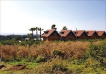 [한경 매물마당] 돈암동 성신여대입구 마트 상가 등 11건