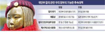 아베 '평창' 불참·대사 소환까지 검토… 정부 '위안부 해법' 고심