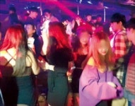 성추행·폭력 난무… 연말연시 강남 클럽은 무법지대