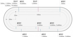 [평창올림픽] 이상화·김보름 금빛 질주 펼칠 女스피드스케이팅