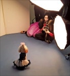 개 전용 놀이터만 100여곳 … 반려동물 사진관에 명품숍도 등장