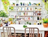 맥주 마시고 심리상담… 취향저격 동네 책방 뜬다