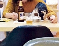 맥주 마시고 심리상담… 취향저격 동네 책방 뜬다