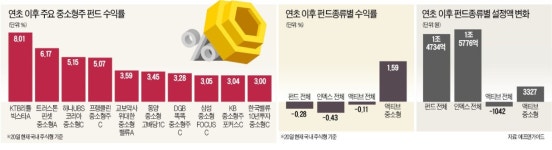 조정장서도 꿋꿋… 중소형주 펀드가 돌아왔다