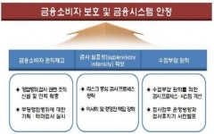 금감원 