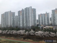 [집코노미] 서울 경전철시대 7개월, 집값은 왜 제자리?