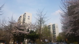 [얼마집] 개포6단지, 추진위원장 뽑고도 속도조절