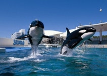 [김동욱의 일본경제 워치] 최근 도쿄에서 동물원과 수족관 개장이 잇따르는 이유