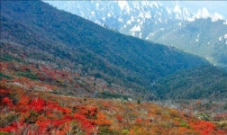 [배시원 쌤의 신나는 영어여행] Fine의 여러 의미들