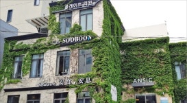 식단·운동·영양제까지… 진화하는 헬스케어 서비스
