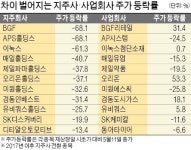지주사 전환했는데… 증시서 찬밥 대우 왜?
