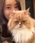 효리네 민박2 윤아 사랑스러운 귀요미들, 또다시 만나..아쉬운 작별