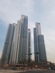 트리마제 사진 1