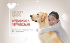 반려동물 1000만 시대…펫보험, 집사 마음 못 잡은 이유