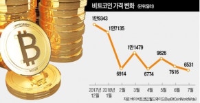 가상화폐 열기 식자… 그래픽카드 가격 뚝