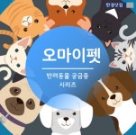 [오마이펫] #1 길 잃은 강아지 발견하면 어떻게 하지?
