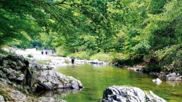 흙길, 돌길, 물길따라… 숲 속 트레킹 더위를 잊다