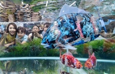 2018 용산 로봇 페스티벌