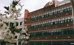 졸업생 미투 서울 용화여고, 성폭력 연루 교사 무더기 징계