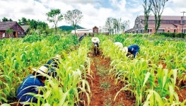 이 몸, 농부 되어… 가을 노래 불러볼까