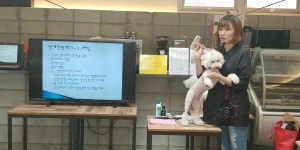 관악여성인력개발센터, 펫시터 양성과정 교육생 모집