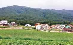 宗中 부동산 소유권 분쟁 휘말리기 前, 친인척 공동명의로 돌려놔야