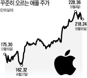 트럼프 관세 협박, 현대차와 기아차에 19% 영업이익 감소 예상