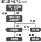 [마켓인사이트] 애경그룹 오너家, 그룹 지배력 단단해졌다