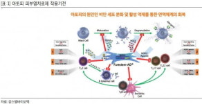 강스템바이오텍, 아토피피부염 3상 결과에 주목-골든브릿지