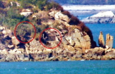 문 닫은 北 장재도 포진지