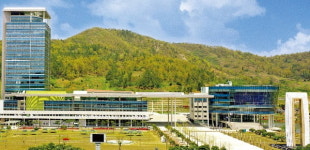 전남 선도 일자리 12만개 창출…청년 행복시대 연다
