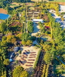 바람이 빚고…바람에 춤춘다…가을빛 물든 태안