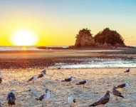 바람이 빚고…바람에 춤춘다…가을빛 물든 태안