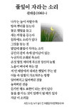 [이 아침의 시] 풀잎이 자라는 소리 - 권대웅(1962~)
