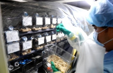 장재진 오리엔트바이오 대표 탈모치료제 2상 후 나스닥 상장 검토