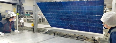 전남 해남서 국내 최대 태양광발전소 가동…탑선 초고효율 태양광 모듈 개발 성공
