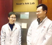 화웨이 비밀조직 노아의 방주 연구소 를 아시나요