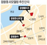 재건축 대신 리모델링 봄…잠원동아·훼미리·한신로얄 사업 속도 낸다