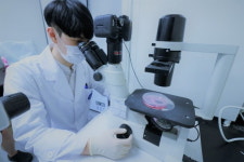 주식회사 셀파마 | 셀리버리 "글로벌 빅파마 4곳 이상과 기술이전 논의 중...임상 2상까지 안 팔리면 과감히 포기"