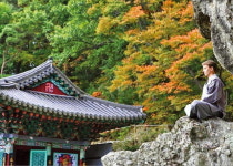 지친 나를 내려놓고, 비우고…마음을 치유하는 山寺의 아침