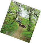 山寺 가는 천년 숲길, 초록으로 눈을 씻고 길에서 깨달음을 얻다