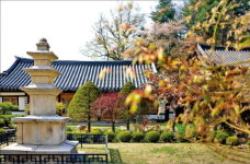 山寺 가는 천년 숲길, 초록으로 눈을 씻고 길에서 깨달음을 얻다