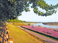 은행나무길 따라 현충사로…옛 도고온천역서 레일바이크