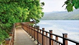 탁 트인 호숫길 걸으며 몸도 마음도 힐링…폭 1.5m 옐로우 출렁다리 건너면 짜릿