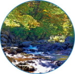 떠나자! 열목어 숨쉬는 봉화 계곡으로…즐기자! 선비의 풍류를~